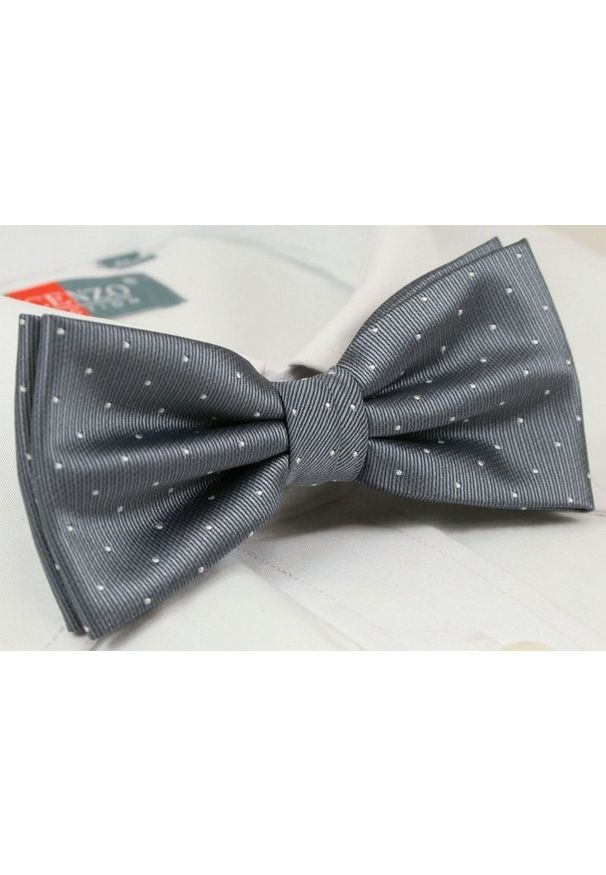 Modna Mucha Męska - Alties - Popiel w Groszki. Wzór: grochy. Styl: sportowy, elegancki