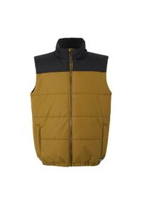 Regatta - Męska Kamizelka Hawfinch Baffled Gilet. Kolor: wielokolorowy, czarny, brązowy
