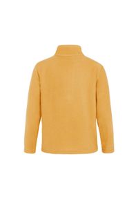 Polar 1/4 zip dla dzieci Protest Perfect Td. Kolor: zielony, żółty, wielokolorowy. Materiał: polar. Sezon: zima. Sport: narciarstwo