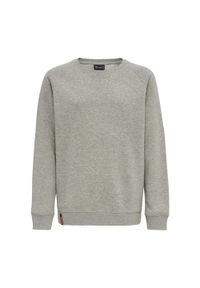 Bluza dziecięca Hummel Red Classic. Kolor: szary. Sport: joga i pilates #1