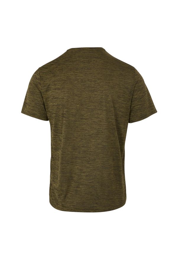 Regatta - T-shirt Męski Melanżowy Fingal Edition. Kolor: zielony. Wzór: melanż