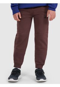4f - 4F Spodnie dresowe joggery chłopięce - brązowe 122 (6-7 lat). Okazja: na co dzień. Kolor: brązowy. Materiał: dresówka. Wzór: ze splotem, gładki. Sezon: lato. Styl: młodzieżowy, sportowy, casual #2