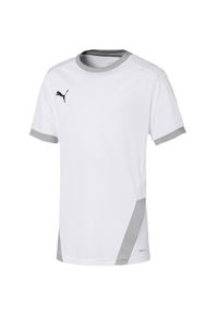 Koszulka dla dzieci Puma teamGOAL 23 Jersey. Kolor: wielokolorowy, biały, szary. Materiał: jersey