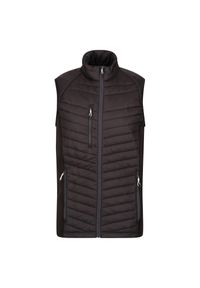 Regatta - Męski Hybrydowy Ocieplacz Na Ciało Navigate. Kolor: szary, fioletowy, wielokolorowy, czarny. Sport: turystyka piesza #1