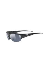 Okulary Uvex Blaze III Black Mat/Smoke 2210 2021. Kolor: czarny, szary, wielokolorowy