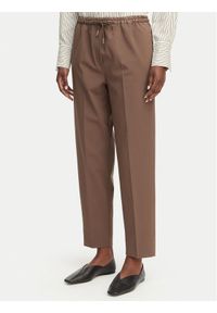 Marella Spodnie materiałowe Teso 2613131075 Brązowy Regular Fit. Kolor: brązowy. Materiał: syntetyk #1