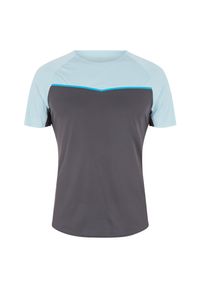 Koszulka męska do biegania Pro Touch Akin 302180. Materiał: materiał, włókno, poliester, tkanina. Długość rękawa: krótki rękaw. Długość: krótkie. Sport: bieganie #1