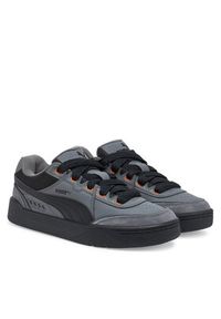 Puma Sneakersy Park Lifestyle SK8 400497 05 Szary. Kolor: szary. Materiał: zamsz, skóra