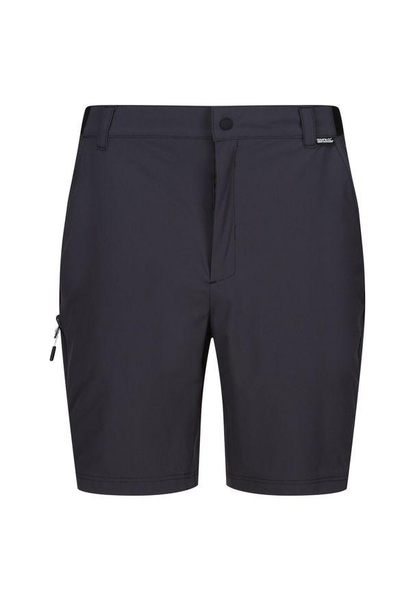 Regatta - Spodenki Męskie Travel Light Packaway. Kolor: szary, wielokolorowy, fioletowy. Sport: turystyka piesza