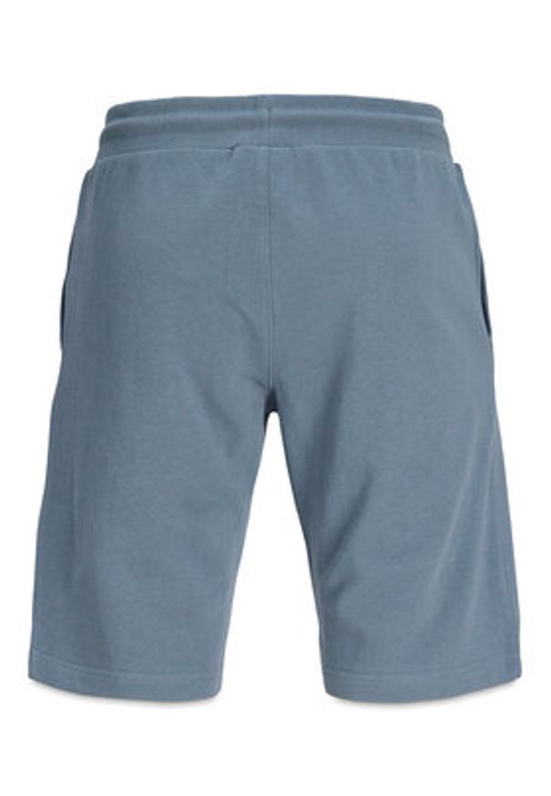 Jack & Jones Szorty sportowe Gordon 12288638 Niebieski Regular Fit. Kolor: niebieski. Materiał: bawełna. Styl: sportowy