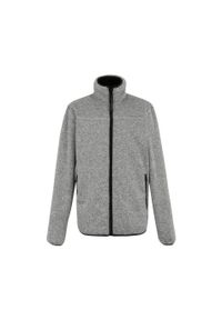 Polar zapinany na zamek błyskawiczny Regatta Branleigh. Kolor: szary. Materiał: polar. Sport: turystyka piesza #1