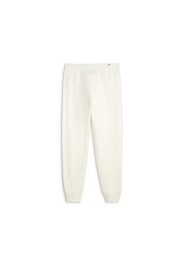 Puma Spodnie Better Sportswear Tr Cl 67606999. Kolor: beżowy. Długość: długie. Sport: turystyka piesza