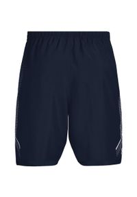 Spodenki treningowe męskie Under Armour Woven Graphic Shorts. Kolor: niebieski