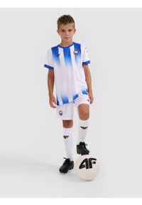 4f - 4F Koszulka klubowa domowa z sezonu 2025/26 dziecięca 4F x Stal Mielec - biała 134/140 (8-10 lat). Okazja: do domu. Kolor: biały. Materiał: dzianina, włókno. Wzór: gradientowy. Sezon: lato. Styl: młodzieżowy #2