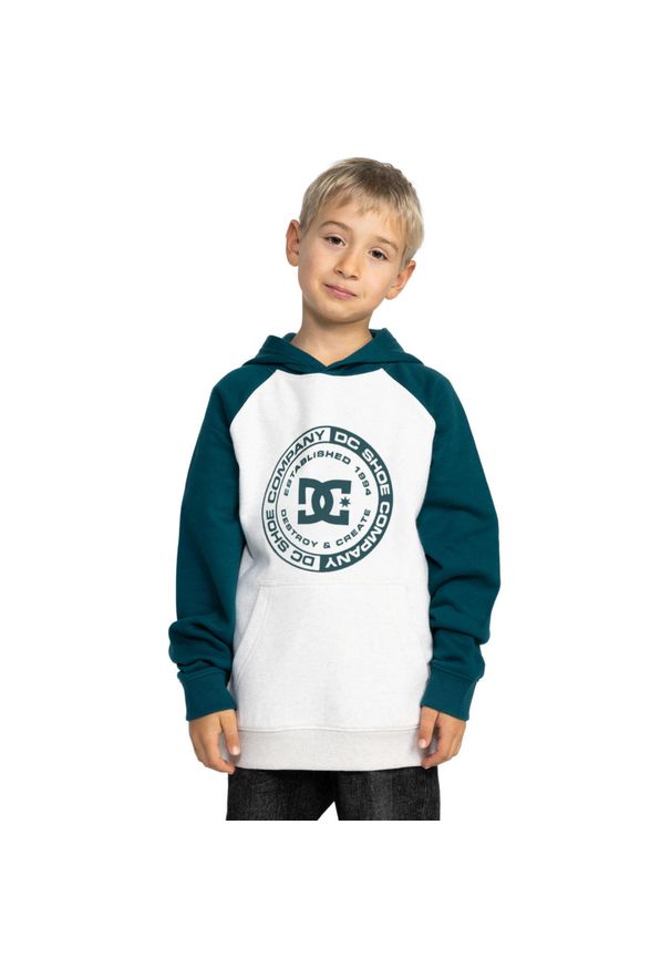 DC Shoes - Bluza z kapturem dla Chłopcy DC CORPO Niebieski. Typ kołnierza: kaptur. Kolor: niebieski. Materiał: materiał, poliester, bawełna. Sport: skateboard