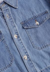 Born2be - Niebieska Koszulowa Sukienka Jeansowa z Marszczeniem i Guzikami Dorinatta. Okazja: na co dzień. Kolor: niebieski. Materiał: jeans. Wzór: ażurowy. Typ sukienki: koszulowe. Styl: casual, elegancki #7