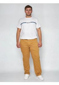 Big-Star - Spodnie męskie chinosy brązowe Trevor 802. Okazja: na co dzień. Kolor: brązowy. Materiał: tkanina. Wzór: haft. Styl: klasyczny, casual, elegancki #8