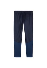 Puma - Męskie Treningowe Spodnie Do Biegania Team Goal. Kolor: niebieski. Materiał: dresówka