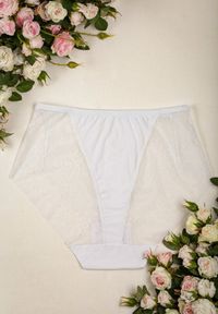 Renee - Białe Majtki High Waist z Delikatną Koronką Fasade. Stan: podwyższony. Kolekcja: plus size. Kolor: biały. Materiał: koronka. Wzór: koronka