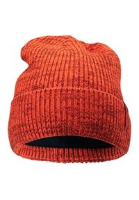 Iguana - Zimowa Czapka Unisex Dla Dorosłych Logo Liam. Kolor: czerwony. Sezon: zima