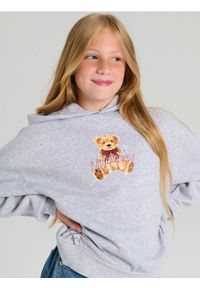 Sinsay - Dresowa bluza hoodie z nadrukiem na plecach - szary. Kolor: szary. Materiał: dresówka. Wzór: nadruk #1