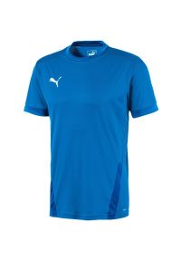 Koszulka do piłki nożnej męska Puma teamGOAL 23 Jersey. Kolor: niebieski. Materiał: jersey