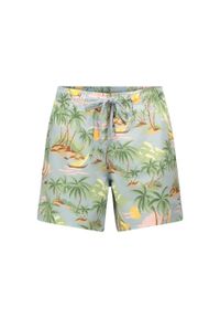 GANT - Szorty kąpielowe z nadrukiem Gant Hawaii. Kolor: niebieski. Wzór: nadruk