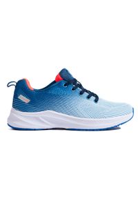 Lekkie buty sportowe DK niebieskie. Kolor: niebieski #3