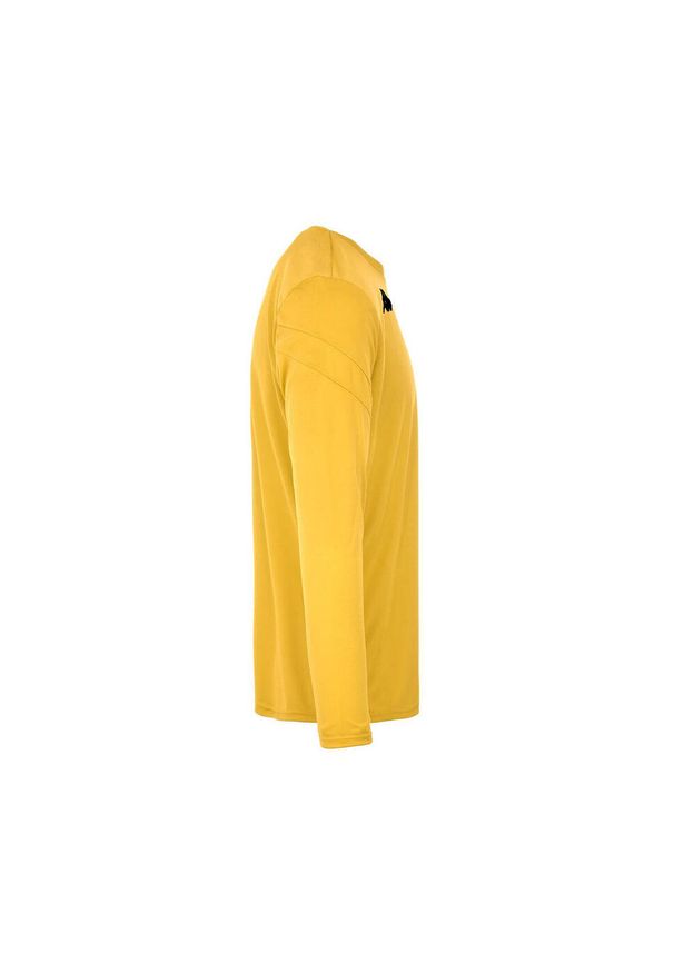 Jersey Kappa Dovol. Kolor: żółty. Materiał: jersey. Długość rękawa: długi rękaw. Sport: fitness