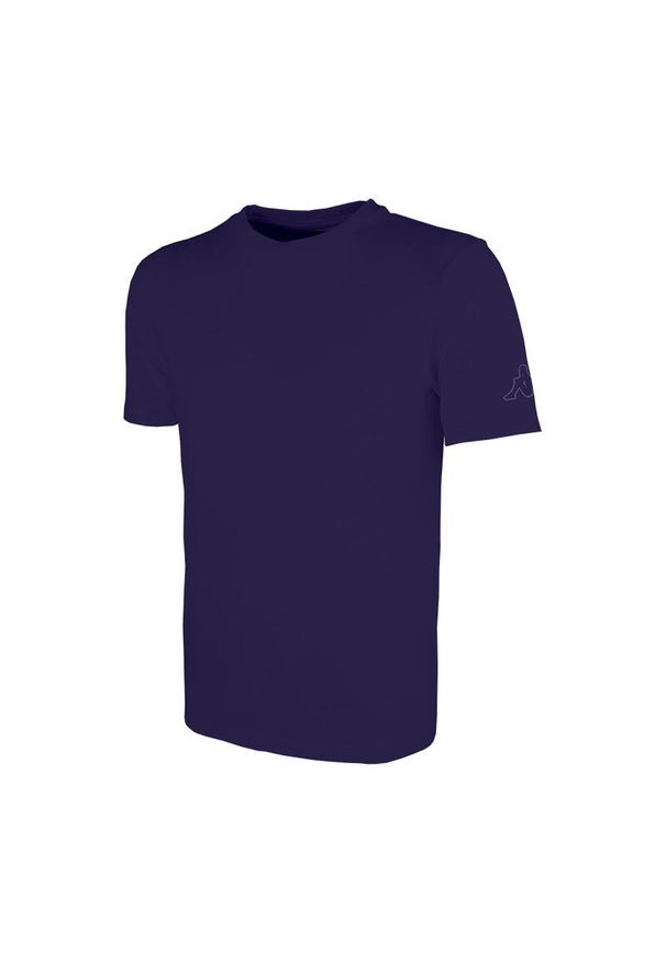 Koszulka dla dzieci Kappa Rieti. Kolor: niebieski. Sport: fitness