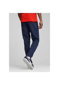 Puma - Męskie spodnie Portugalia Casuals PUMA Persian Blue Sunny Yellow. Kolor: żółty, wielokolorowy, niebieski