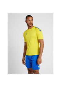 Koszulka sportowa męska Hummel Core XK Poly T-Shirt S/S. Kolor: niebieski, wielokolorowy, żółty. Sezon: lato