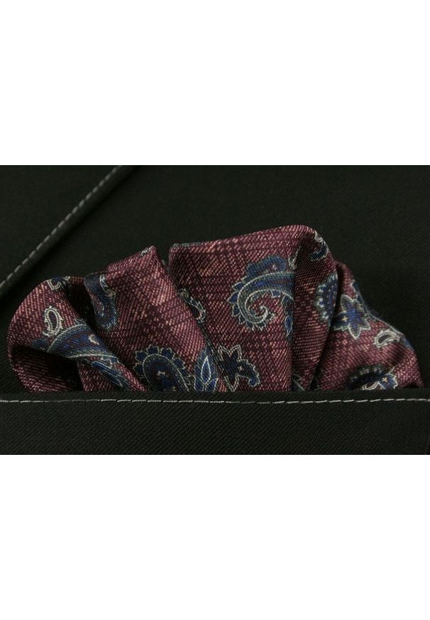 Poszetka EM Men's Accessories paisley