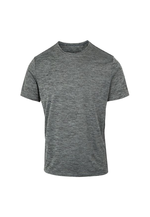 Regatta - T-shirt Męski Melanżowy Fingal Edition. Kolor: szary. Wzór: melanż