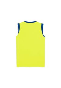 Puma - Koszulka treningowa OM 2025/26. Kolor: żółty. Sport: piłka nożna #2