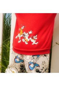 Adidas - Zestaw adidas x Disney Mickey Mouse Crewneck and Jogger. Okazja: na uczelnię. Kolor: czerwony, biały, wielokolorowy, czarny. Materiał: dresówka. Wzór: motyw z bajki. Styl: sportowy