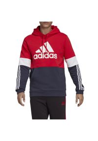 Adidas Essentials Fleece Colorblock > H58980. Typ kołnierza: kaptur. Materiał: bawełna, wiskoza, poliester. Wzór: aplikacja. Styl: klasyczny
