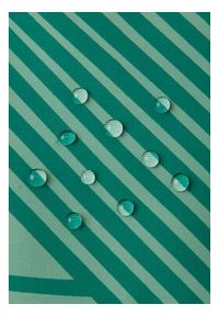 Reima Kurtka przeciwdeszczowa Schiff 5100169B Zielony Regular Fit. Kolor: zielony. Materiał: syntetyk #4
