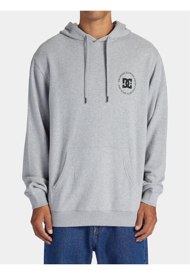 Bluza DC. Kolor: szary. Materiał: bawełna