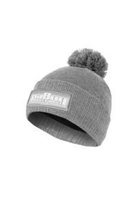 PITBULL - Czapka męska Pitbull zimowa One Tone Boxing. Kolor: szary. Sezon: zima. Styl: sportowy #1
