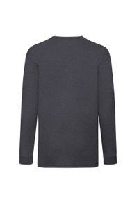 FRUIT OF THE LOOM - Dziecięca Koszulka Z Długim Rękawem Z Polibawełny Valueweight. Kolor: szary. Długość rękawa: długi rękaw. Długość: długie