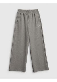 4f - 4F Spodnie dresowe z szerokimi nogawkami damskie - szare S. Stan: podwyższony. Kolor: szary. Materiał: dresówka #1