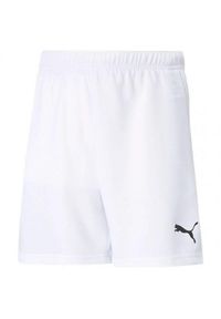 Puma - Spodenki TeamRISE Dla Dzieci. Kolor: biały. Styl: sportowy. Sport: turystyka piesza