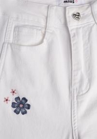 Born2be - Białe Jeansy Balloon z Wysokim Stanem Zdobione Haftem w Kwiaty Thertheris. Okazja: na co dzień, do pracy, na spotkanie biznesowe. Stan: podwyższony. Kolor: biały. Wzór: kwiaty, haft, aplikacja. Styl: klasyczny, casual, biznesowy #6