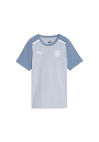 Koszulka Mężczyzna Puma Manchester City Casuals niebieski. Kolor: niebieski. Materiał: bawełna. Sport: piłka nożna #1