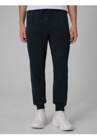 4f - 4F Spodnie dresowe joggery męskie - granatowe XXL. Kolor: niebieski. Materiał: dresówka #2