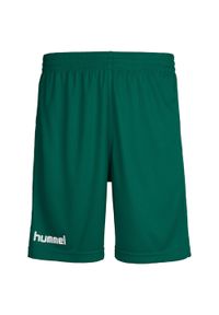 Spodenki sportowe dziecięce Hummel Core Kids Poly Shorts. Kolor: zielony. Styl: sportowy