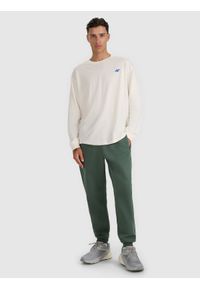 4f - 4F Spodnie dresowe joggery męskie - oliwkowe/khaki S. Kolor: oliwkowy, brązowy, wielokolorowy. Materiał: dresówka #1