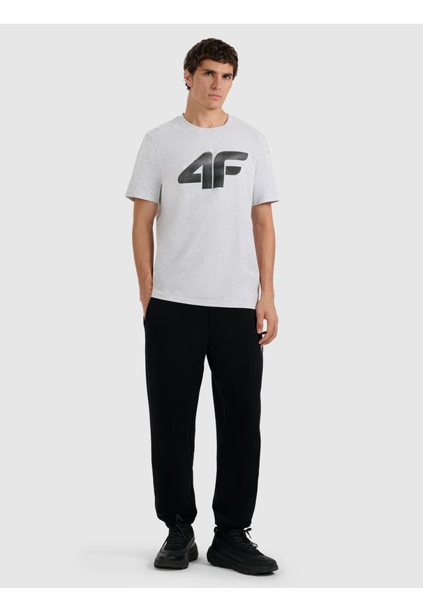 4f - 4F T-shirt regular z nadrukiem męski - szary 3XL. Okazja: na co dzień. Kolor: szary. Wzór: nadruk. Styl: casual