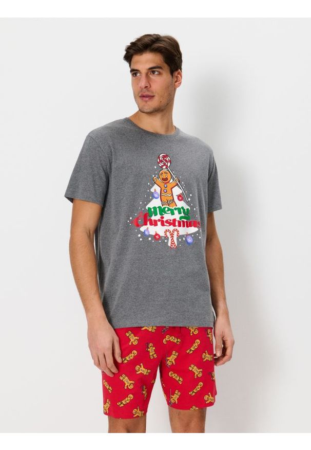 Sinsay - Piżama dwuczęściowa Shrek - szary. Kolor: szary. Długość: krótkie